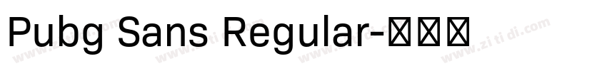 Pubg Sans Regular字体转换